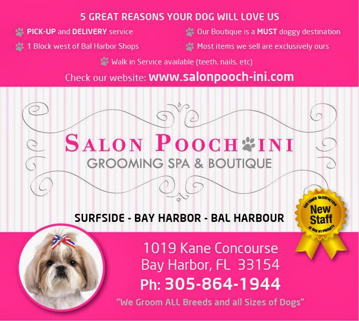 Salon Poochini | 1019 Kane Concourse, Bay Harbor Islands, FL 33154, USA | Phone: (305) 864-1944