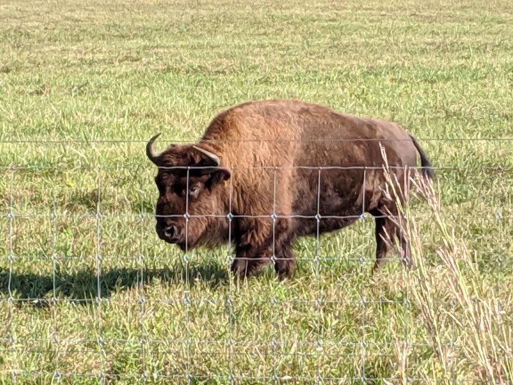 Battelle Darby Creek Metro Park Nature Center | 1415 Darby Creek Dr, Galloway, OH 43119, USA | Phone: (614) 878-7106