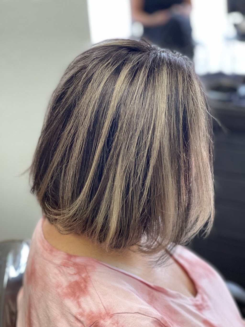 Artisan salon | 16761 Fishhawk Blvd, Lithia, FL 33547, USA | Phone: (813) 409-2067