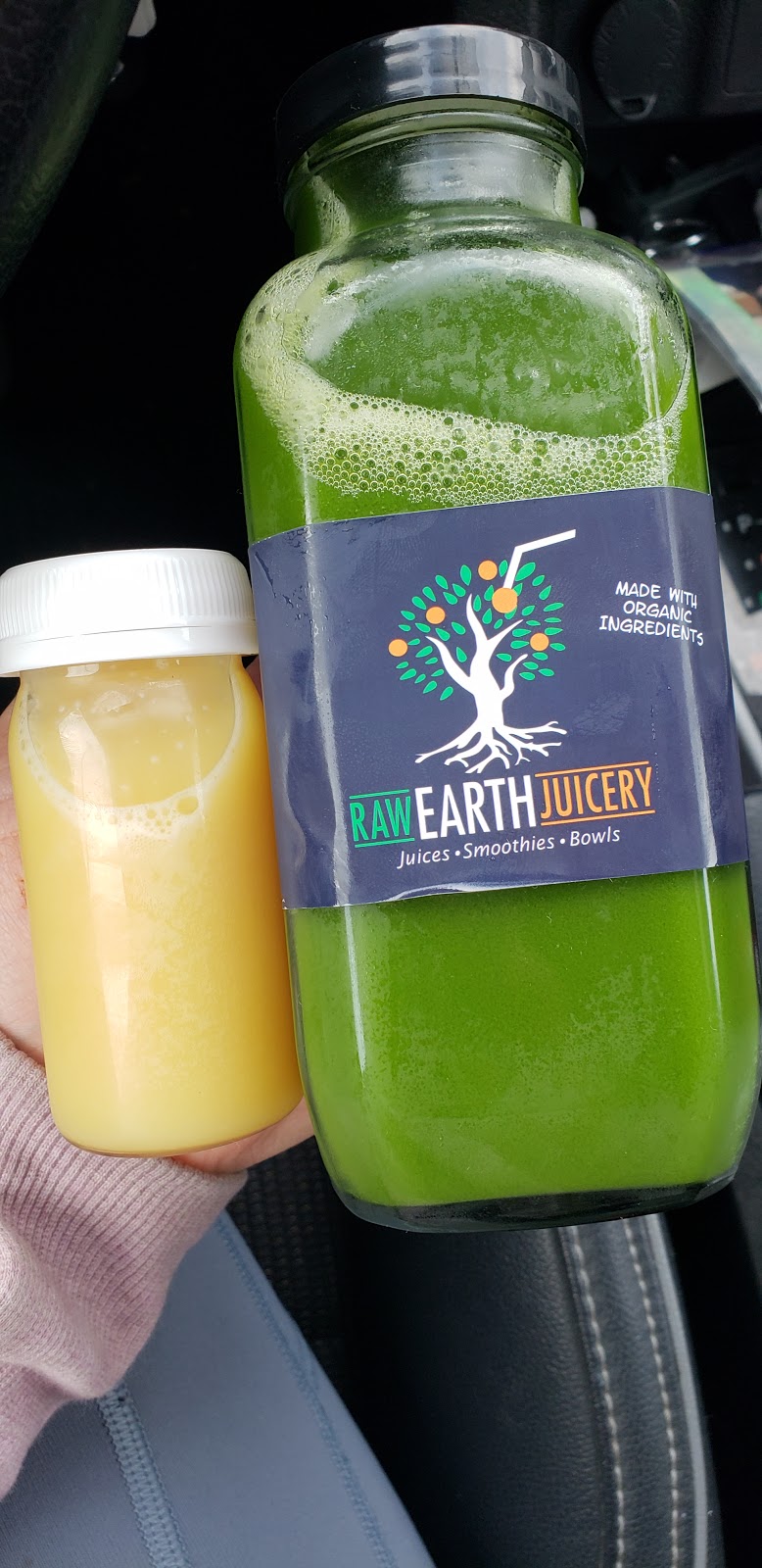 Raw Earth Juicery | 8398 N Fresno St, Fresno, CA 93720, USA | Phone: (559) 558-8133