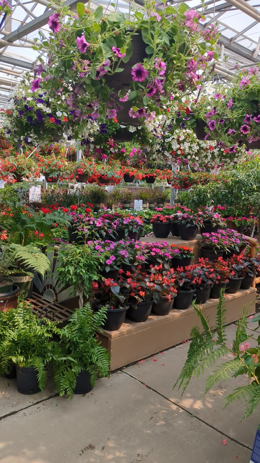 Terra Garden Center | 20230 Kenrick Ave #9303, Lakeville, MN 55044, USA | Phone: (952) 469-3506