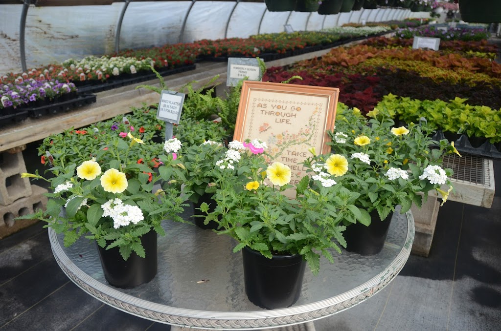 Kahls Greenhouse | 520 W Main St, Carlinville, IL 62626, USA | Phone: (217) 854-8912