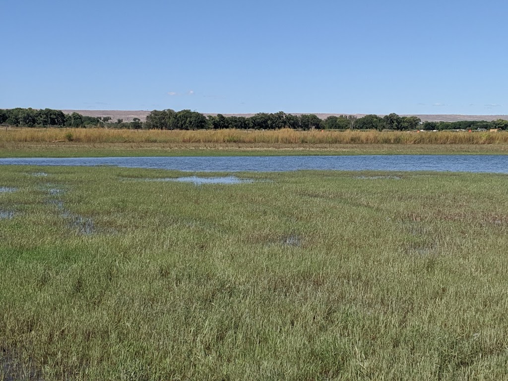 Valle de Oro National Wildlife Refuge | 7851 2nd St SW, Albuquerque, NM 87105, USA | Phone: (505) 248-6667