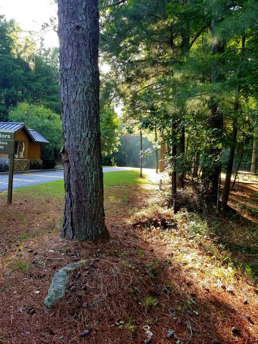 Lake Sidney Lanier | Lanier Project Management Office/Visitor Center, 1050 Buford Dam Rd, Buford, GA 30518, USA | Phone: (770) 945-9531