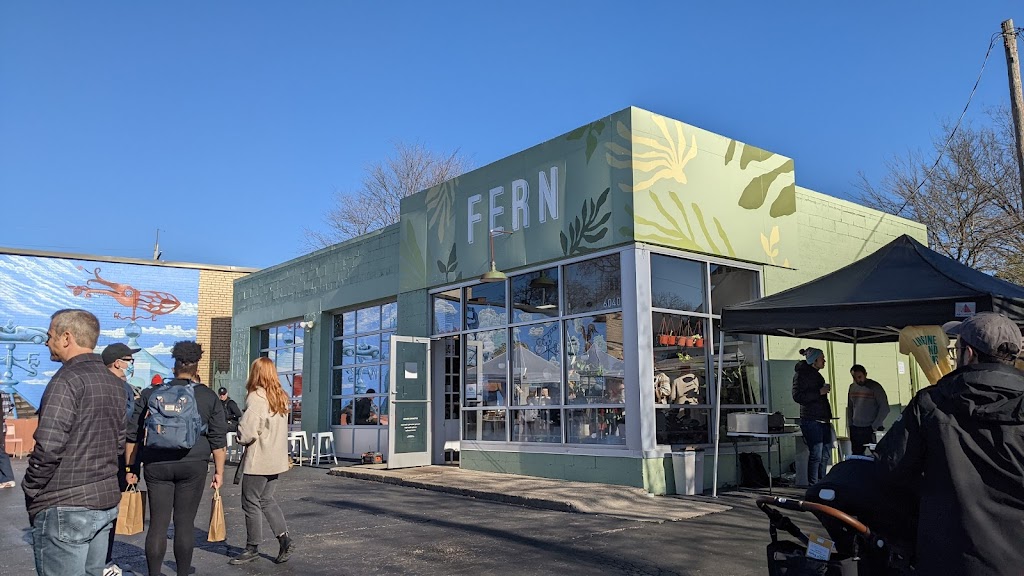 Fern | 6040 Hamilton Ave, Cincinnati, OH 45224, USA | Phone: (513) 541-1269