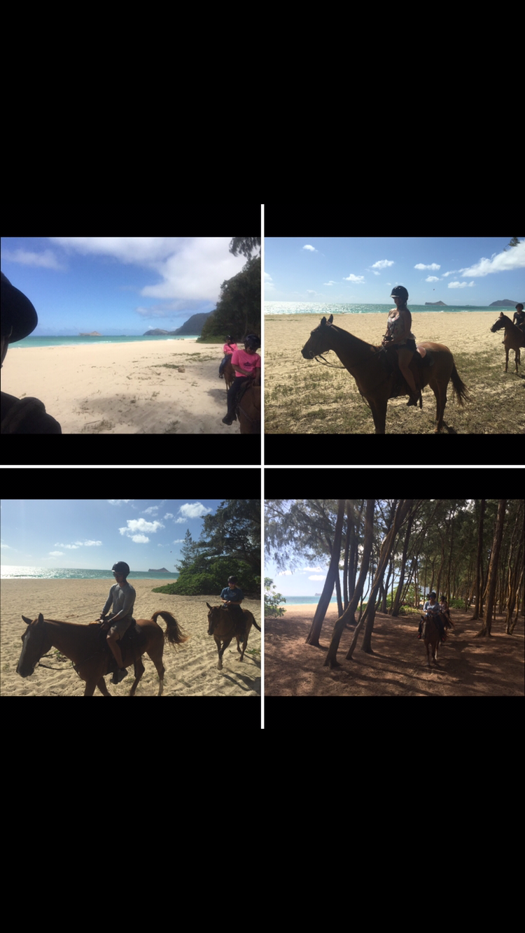 Waimanalo Beach Rides | 41-1062 Kalanianaʻole Hwy, Waimanalo, HI 96795, USA | Phone: (808) 421-9874