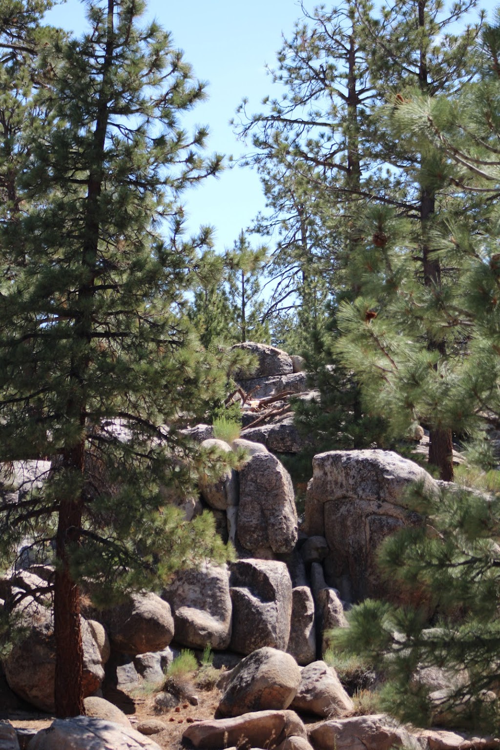 Holcomb Valley Campground | Holcomb Valley Rd, Big Bear, CA 92314, USA | Phone: (909) 382-2790