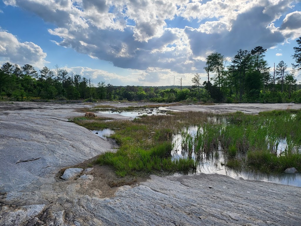 Arabia Mountain National Heritage Area | 3350 Klondike Rd, Stonecrest, GA 30038, USA | Phone: (404) 998-8384