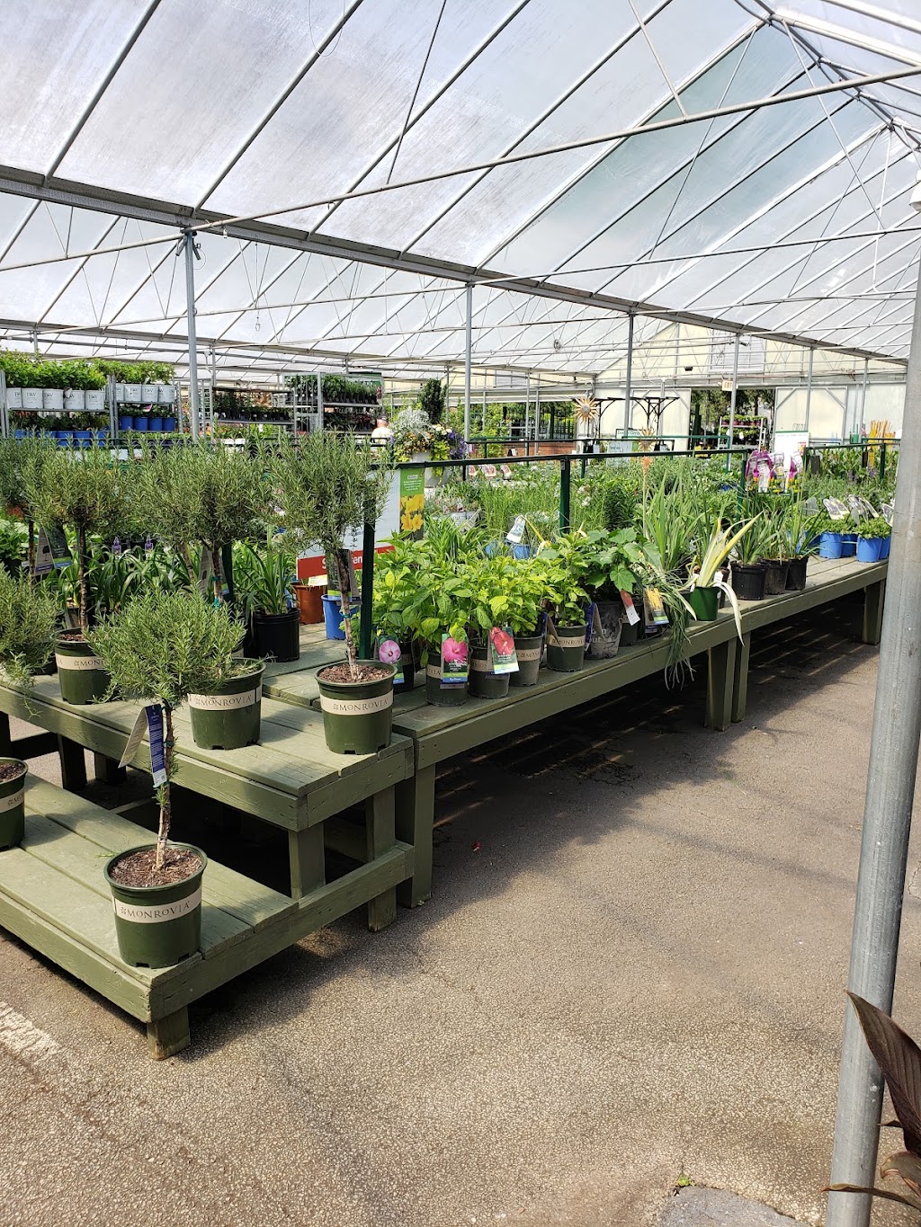 Pike Nurseries | 103 Joel Cowan Pkwy, GA-74, Peachtree City, GA 30269, USA | Phone: (770) 632-9111