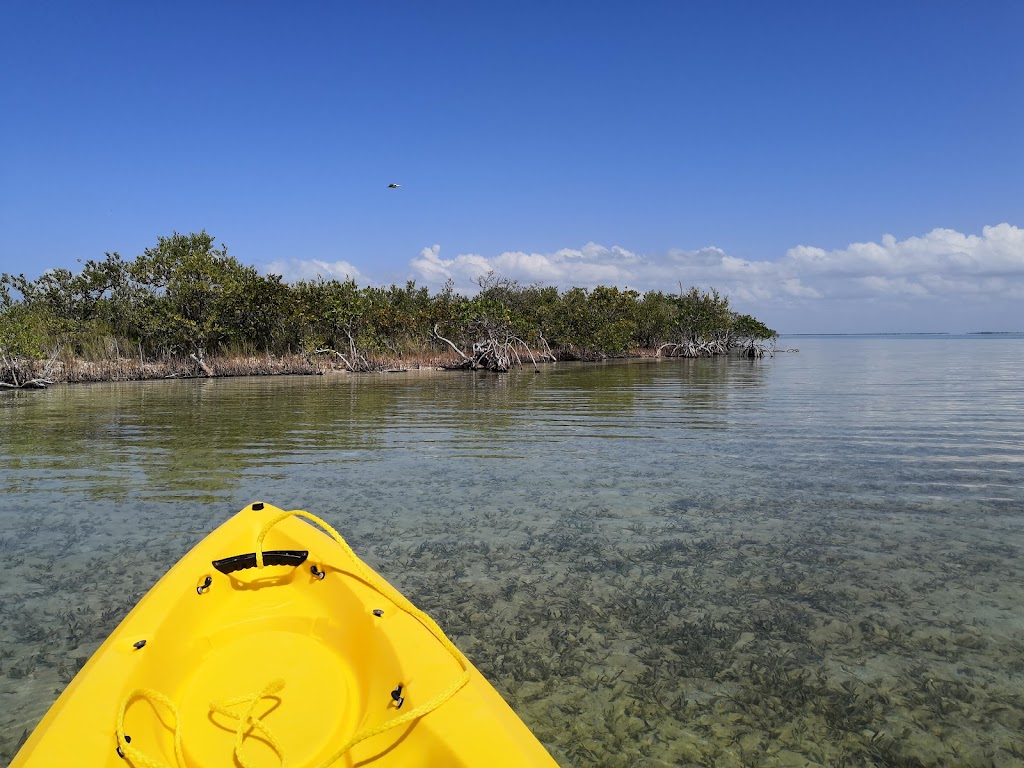 Out There Kayak Expeditions | Mile marker 102 Bayside, 101900 Overseas Hwy, Key Largo, FL 33037, USA | Phone: (305) 394-1158