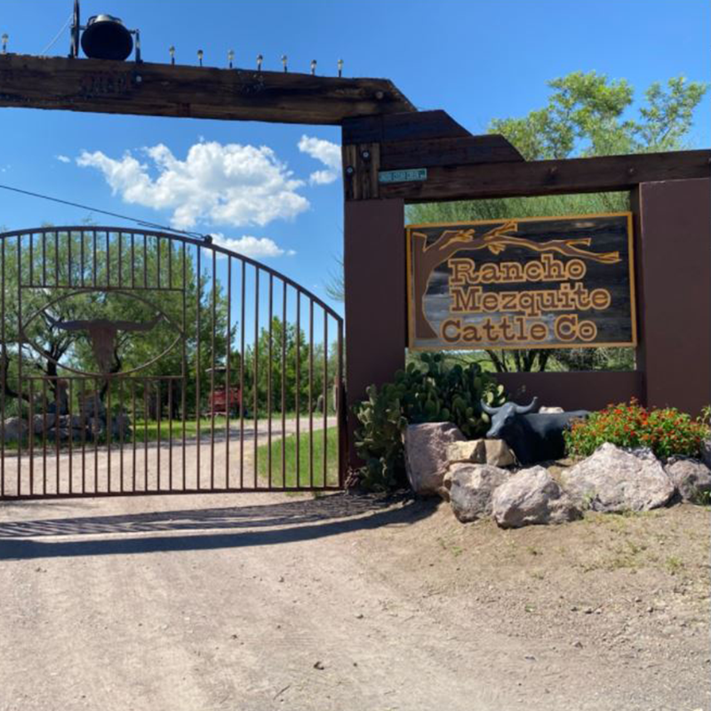 Mesquite Ranch Campground | 35800 S Cedar Creek Rd, Arivaca, AZ 85601, USA | Phone: (520) 405-0324