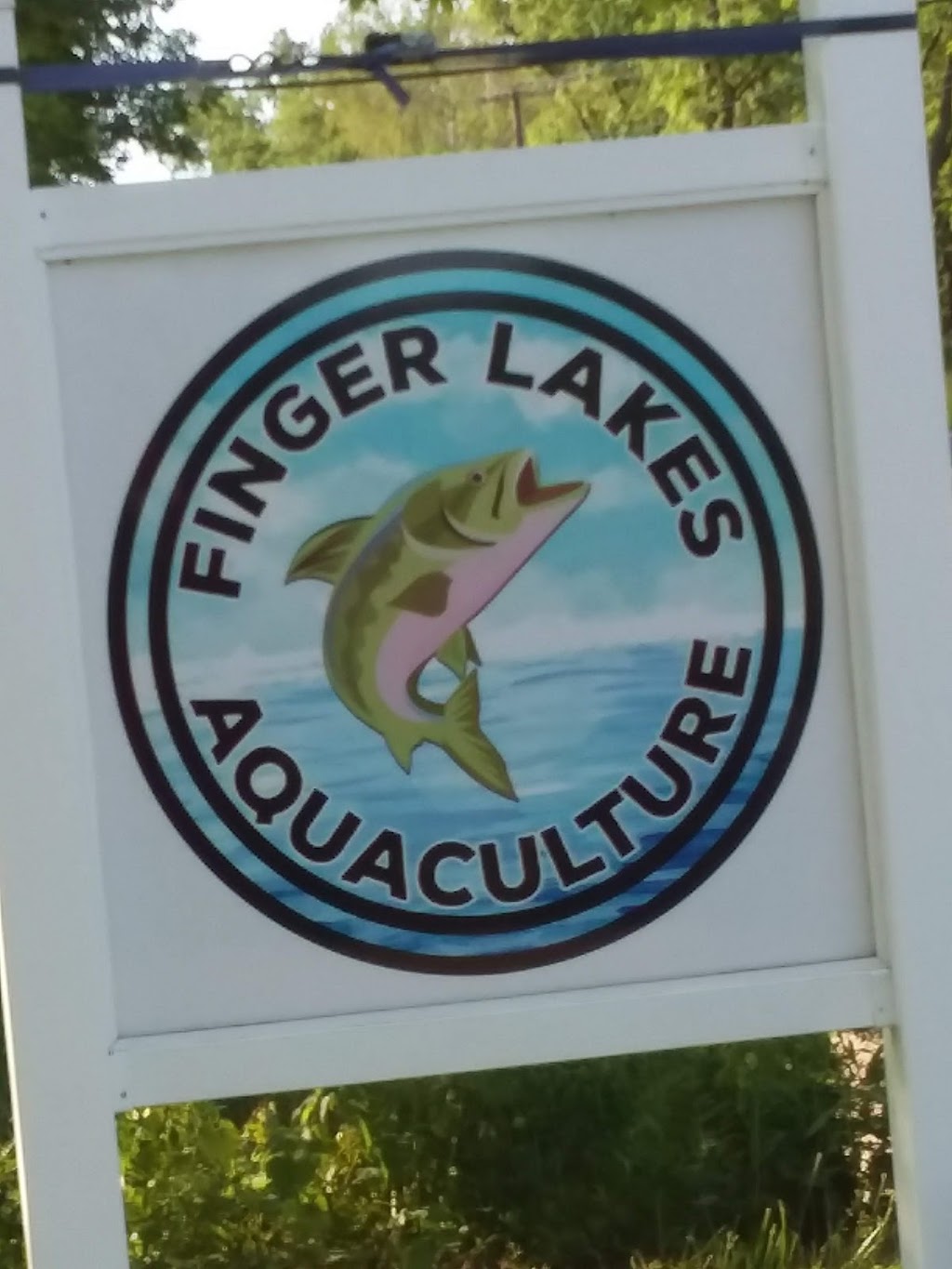 Finger Lakes Aquaculture | 7627 Co Rd 36, Naples, NY 14512, USA | Phone: (585) 374-2974