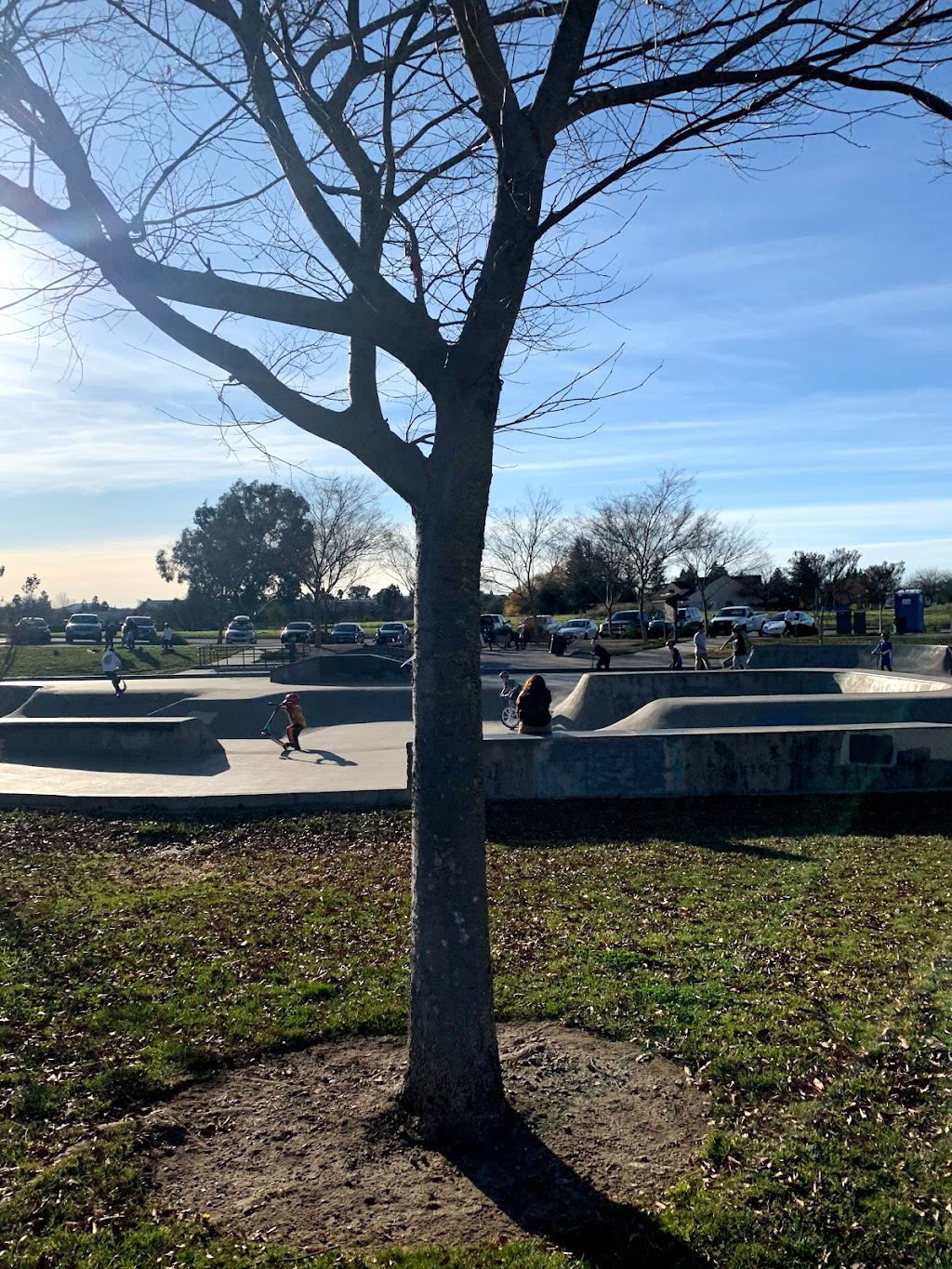 Livermore Skatepark | 3800 Pacific Ave, Livermore, CA 94550, USA | Phone: (925) 373-5700