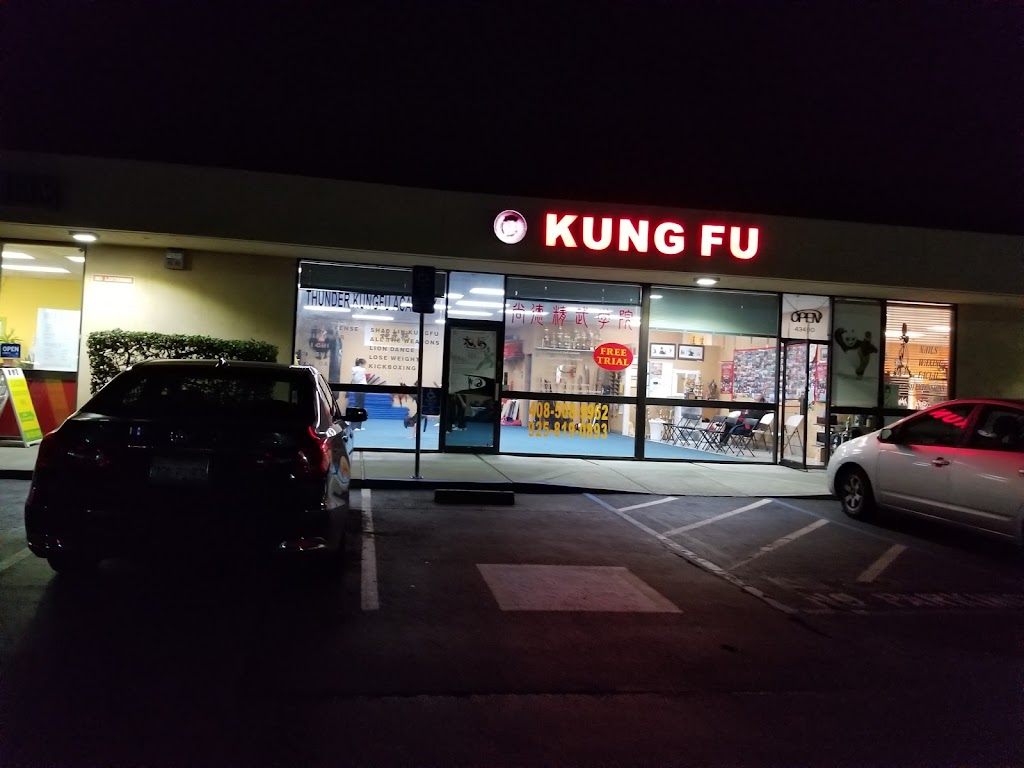 kung fu | 43472 Grimmer Blvd, Fremont, CA 94538, USA | Phone: (408) 508-9962