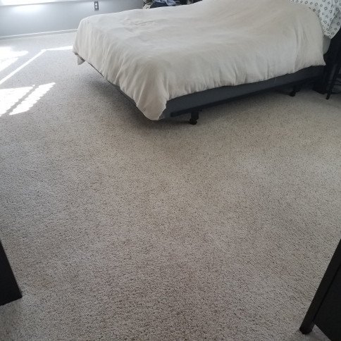 Mountain Best Carpet & Upholstery Cleaning | 26238 South End Rd, Kittredge, CO 80457, USA | Phone: (720) 776-2158