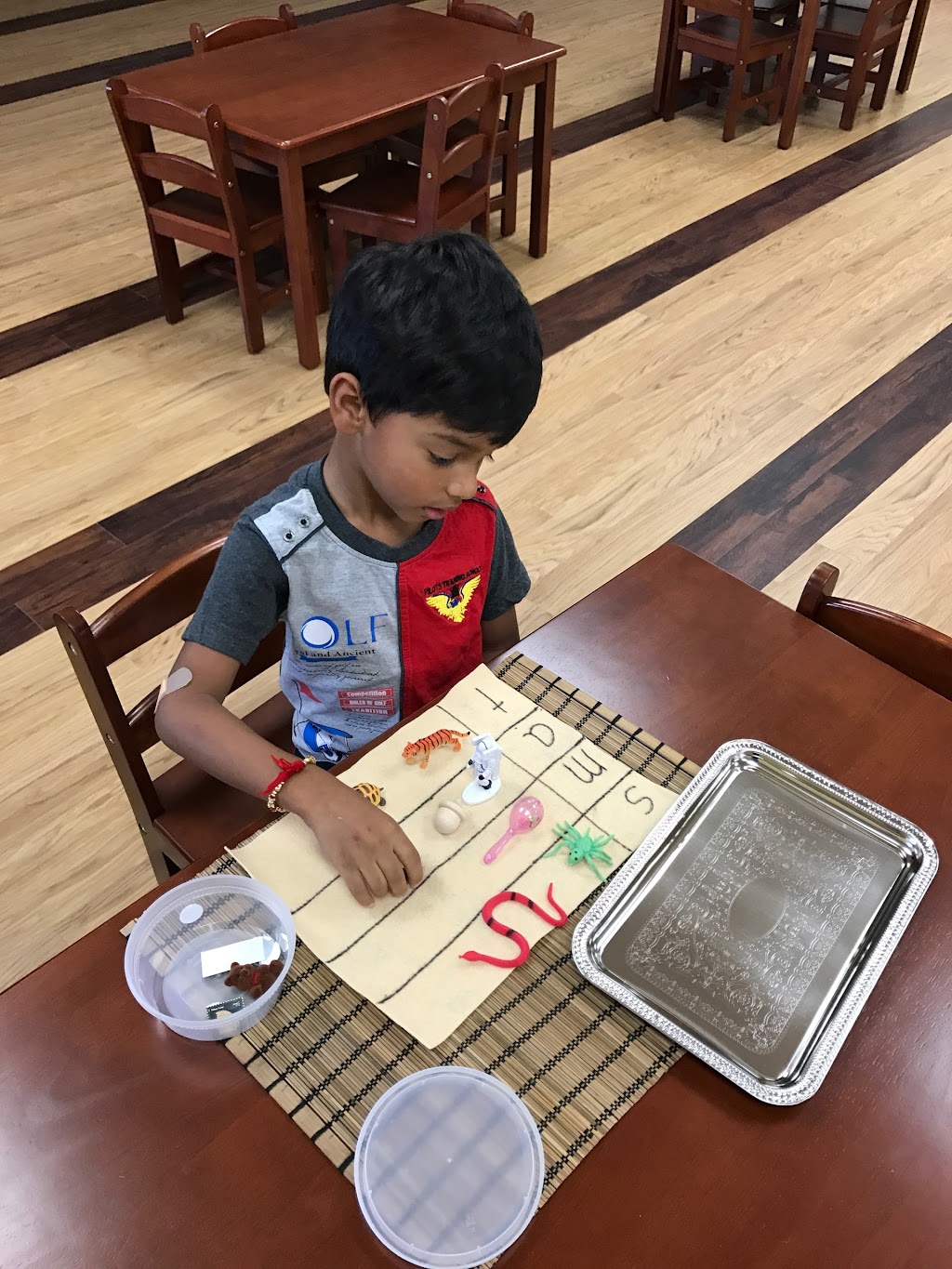 Amazing Childrens Montessori | 11445 Independence Pkwy, Frisco, TX 75035, USA | Phone: (469) 844-3500