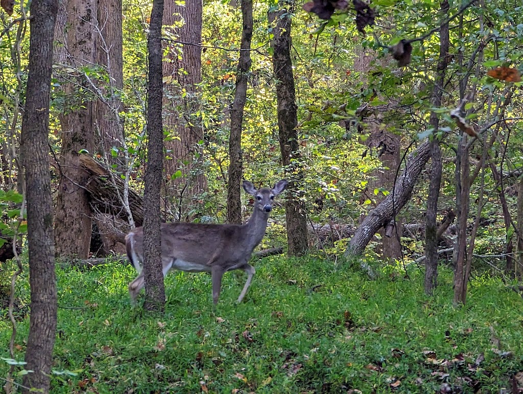 Tanglewood Park | 4061 Clemmons Rd, Clemmons, NC 27012, USA | Phone: (336) 703-6400