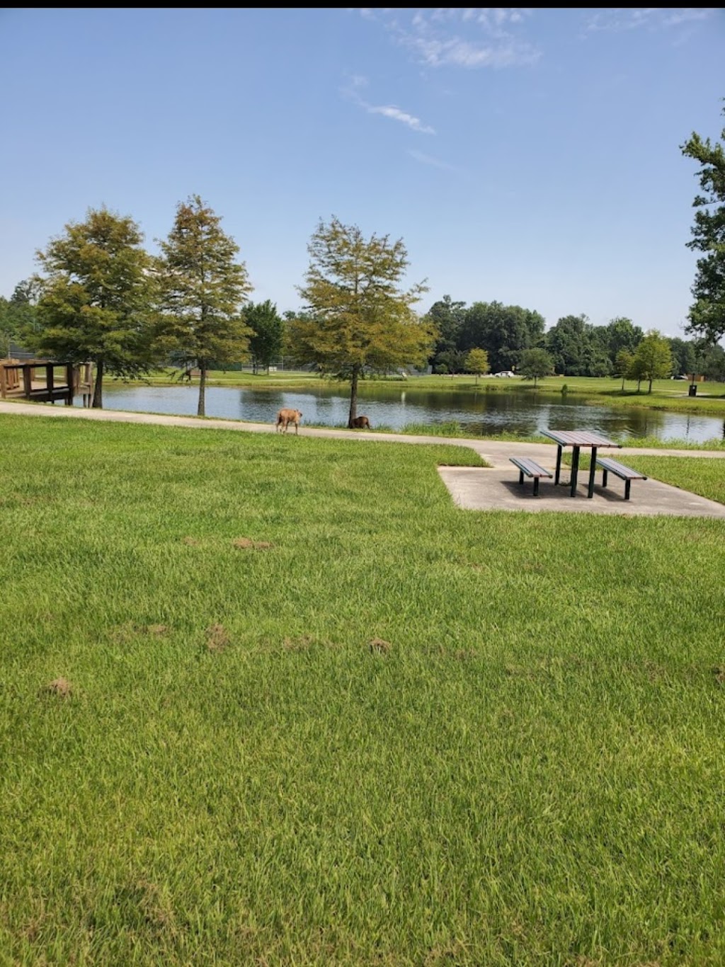 Forest Community Park | 13900 South Harrell, 13900 S Harrells Ferry Rd, Baton Rouge, LA 70816, USA | Phone: (225) 256-2849