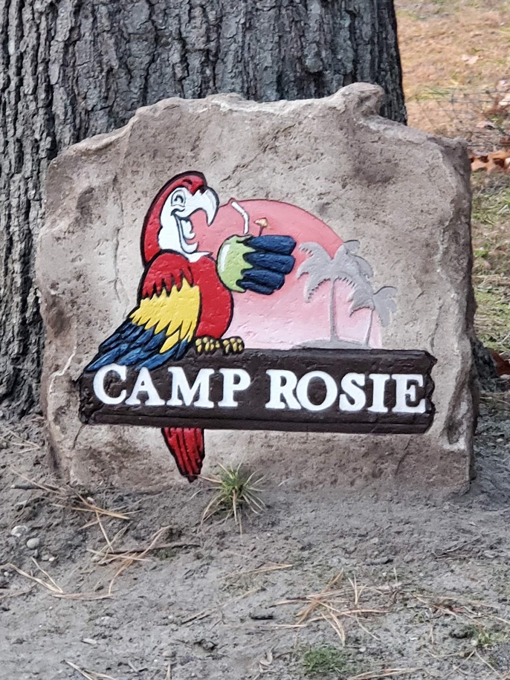 Boulder Designs by Fynan and Sons | 306 Park Ave, Hainesport, NJ 08036, USA | Phone: (609) 405-3558 Boulder Designs by Fynan and Sons | 306 Park Ave, Hainesport, NJ 08036, USA | Phone: (609) 405-3558