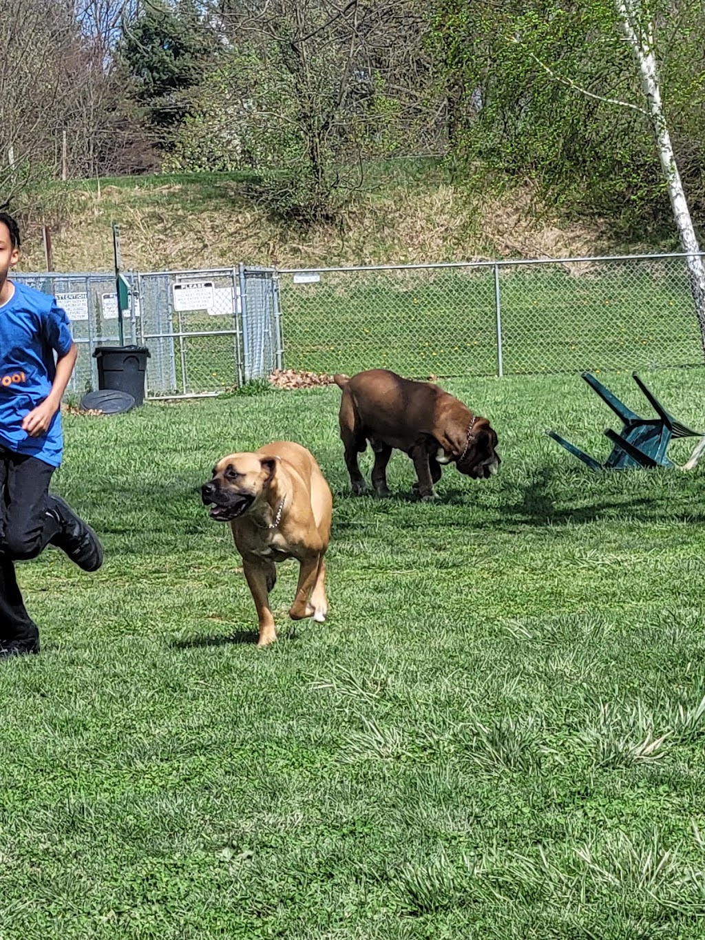 Canal Fulton Dog Park | 5500 Butterbridge Rd NW, Canal Fulton, OH 44614, USA | Phone: (330) 854-2225