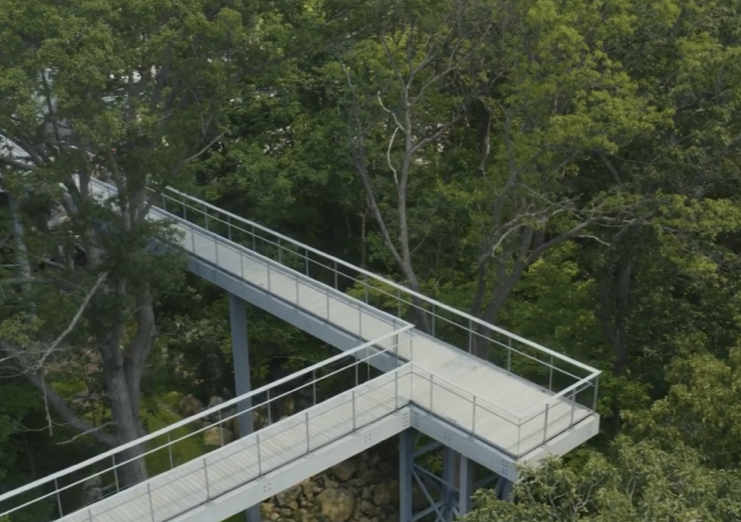 “The Treehouse” Outdoor Classroom | 243 Mt Paul Rd, Oak Ridge, NJ 07438, USA | Phone: (908) 737-1612