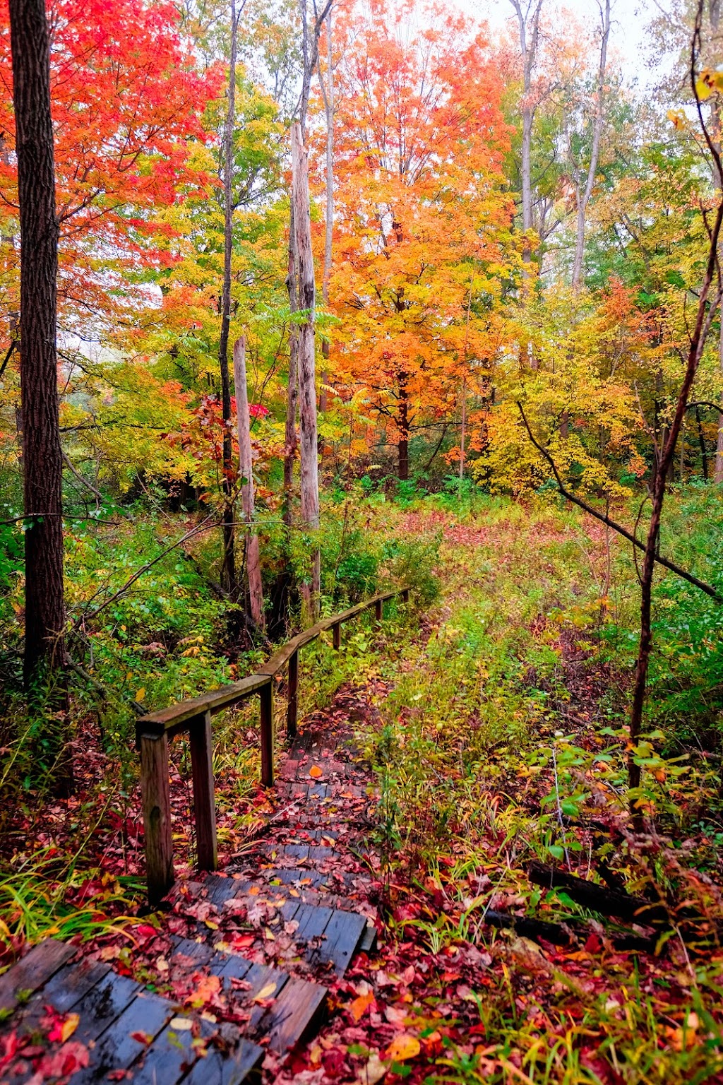 Hilltop Nature Area | 111 W Huron River Dr, Ann Arbor, MI 48103, USA | Phone: (734) 794-6230