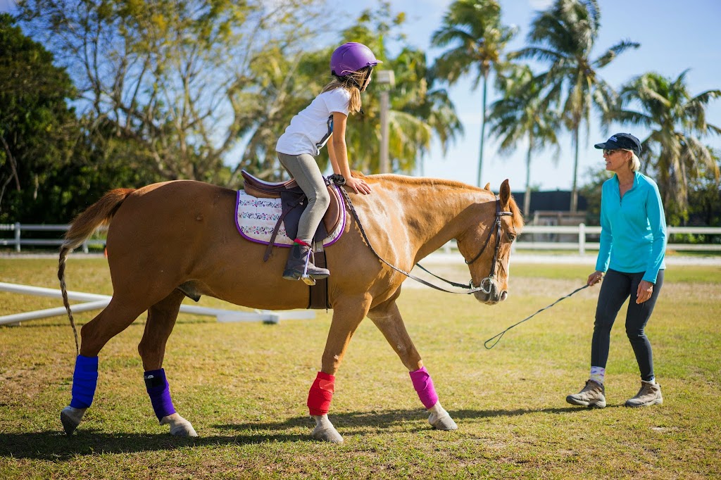 Winding Paths Equestrian | 21605 SW 152nd Ave, Miami, FL 33170, USA | Phone: (305) 926-8239