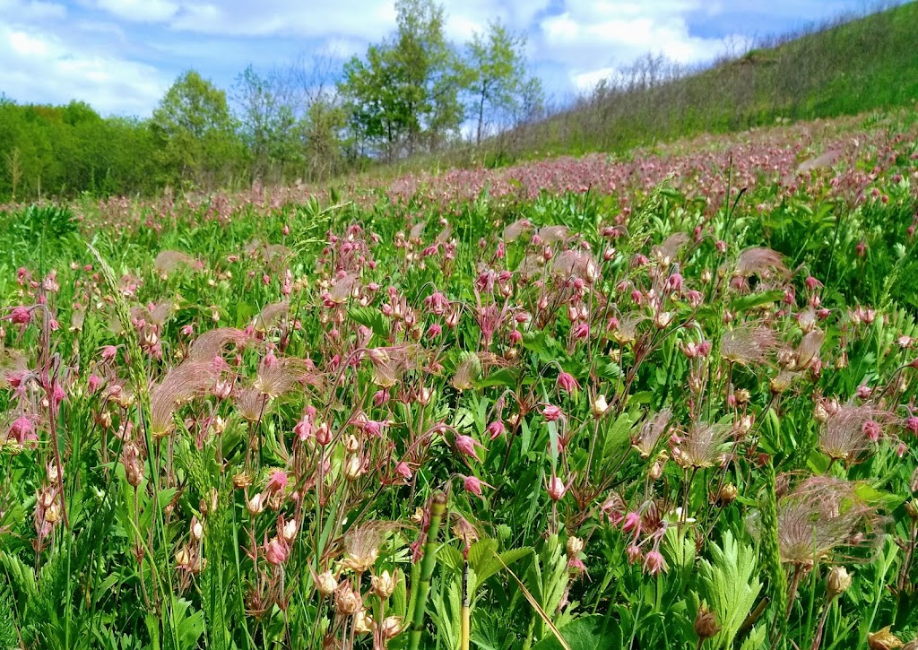 Muralt Bluff Prairie State Natural Area | Monticello, WI 53570 | Phone: (608) 266-0394