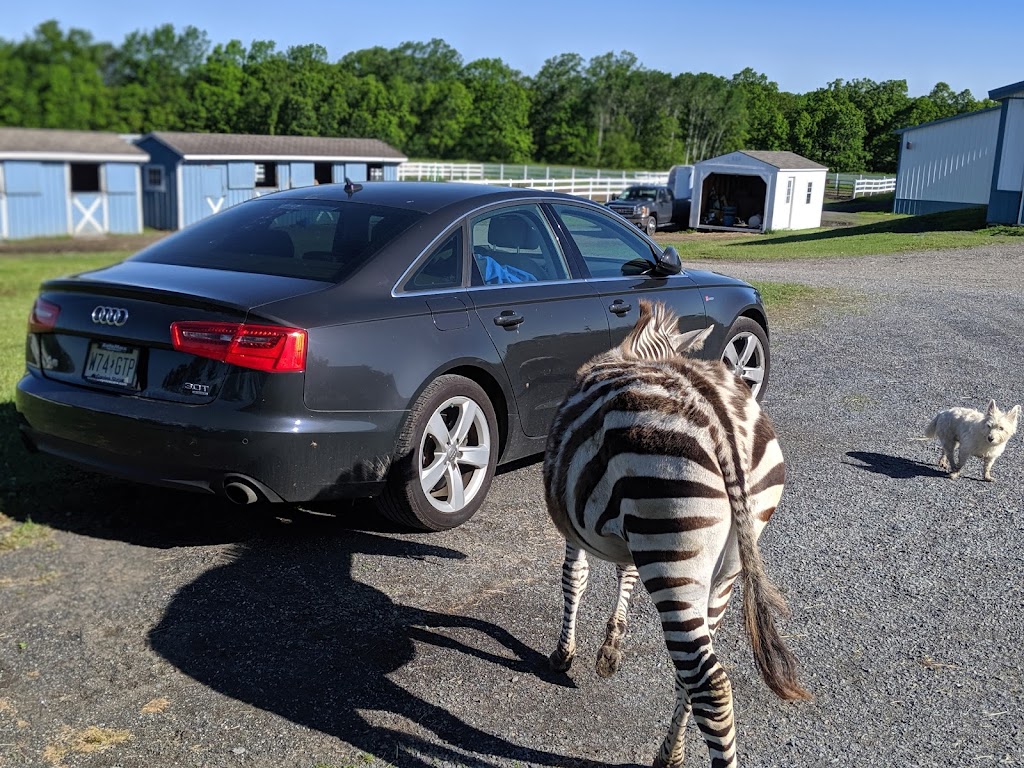Vertical Farm | 10140 NY-149, Fort Ann, NY 12827, USA | Phone: (518) 588-5750