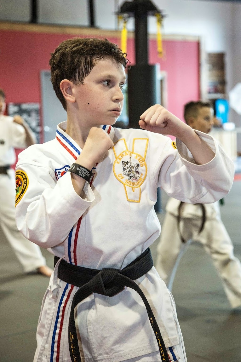 ATA Martial Arts of Royersford | 33 W Ridge Pike #663, Royersford, PA 19468, USA | Phone: (610) 948-5999