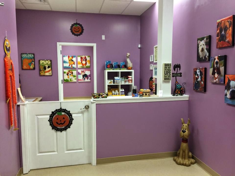 Furry Tails Pet Grooming 2 | 2501 Trafalgar Blvd, Kissimmee, FL 34758, USA | Phone: (407) 530-5836