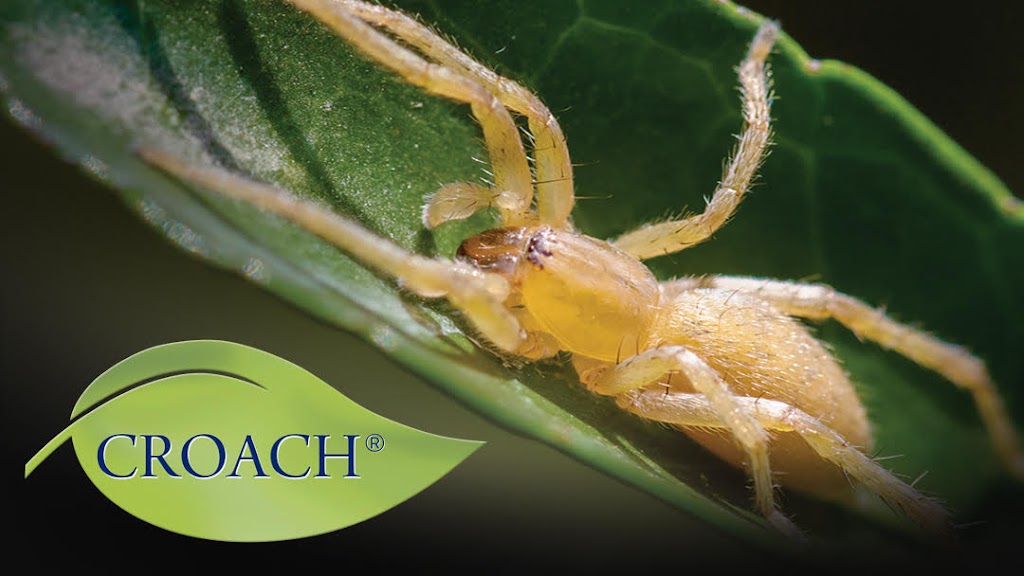 Croach Pest Control | 6058 Corporal Ln, Boise, ID 83704, USA | Phone: (208) 600-1810