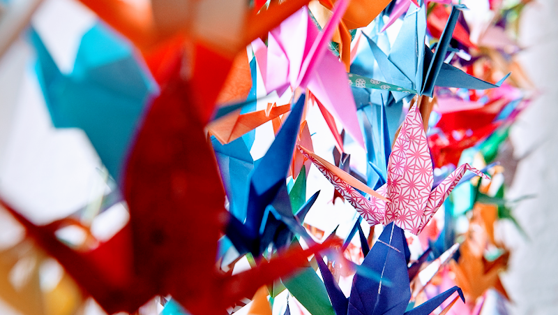 Thousand Cranes | 2091 E Division St, Arlington, TX 76011, USA | Phone: (972) 249-6000