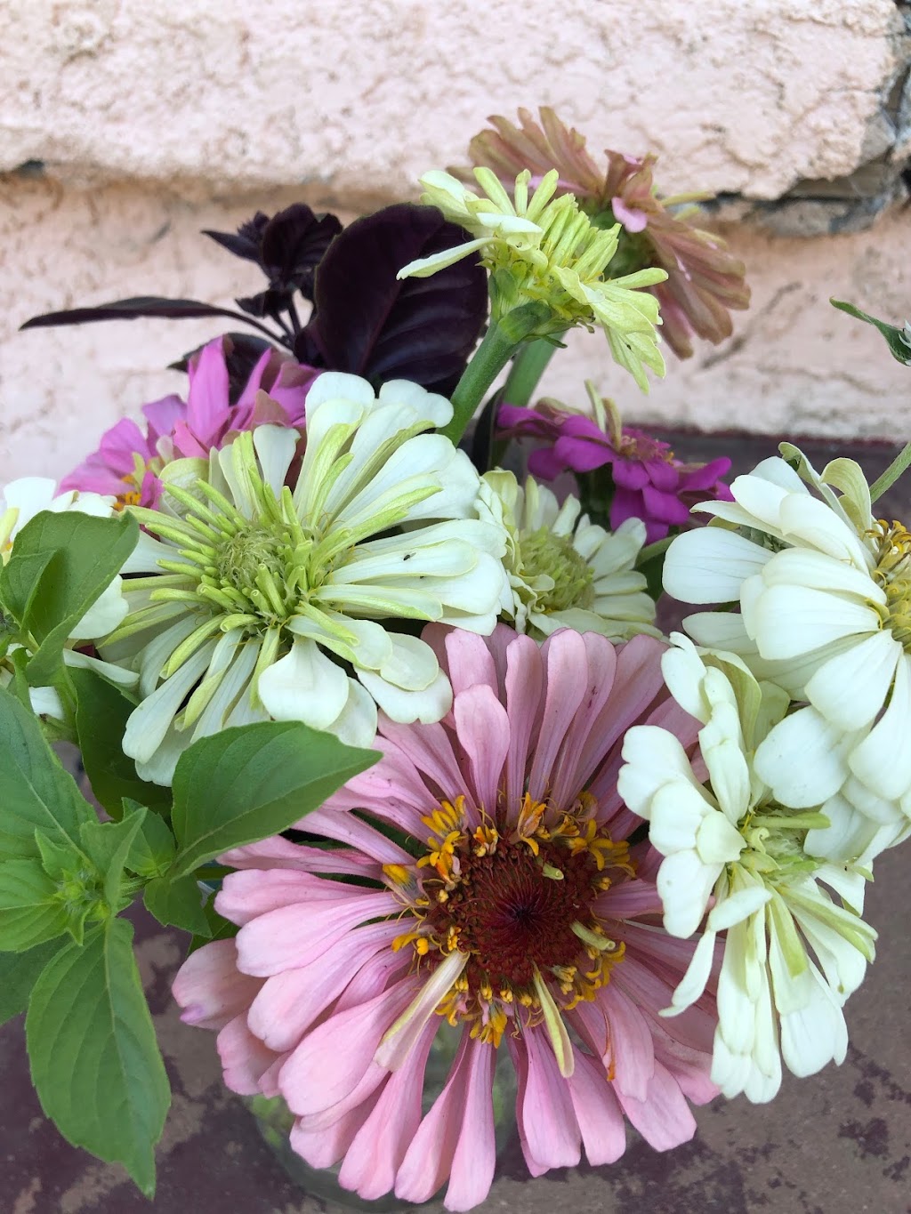 Sweet Girl Farms | 8358 S Alta Ave, Reedley, CA 93654, USA | Phone: (323) 314-1967