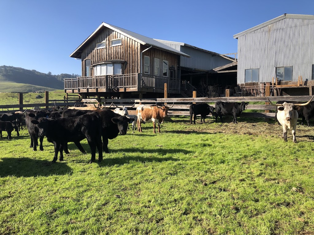 Cow Track Ranch | Nicasio Valley Rd, Nicasio, CA 94946, USA | Phone: (707) 360-7789