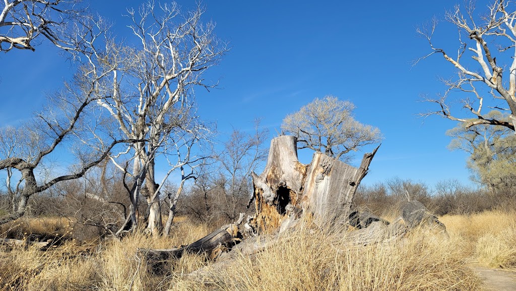 Empire Ranch Foundation | Empire Ranch Rd, Sonoita, AZ 85637, USA | Phone: (888) 364-2829