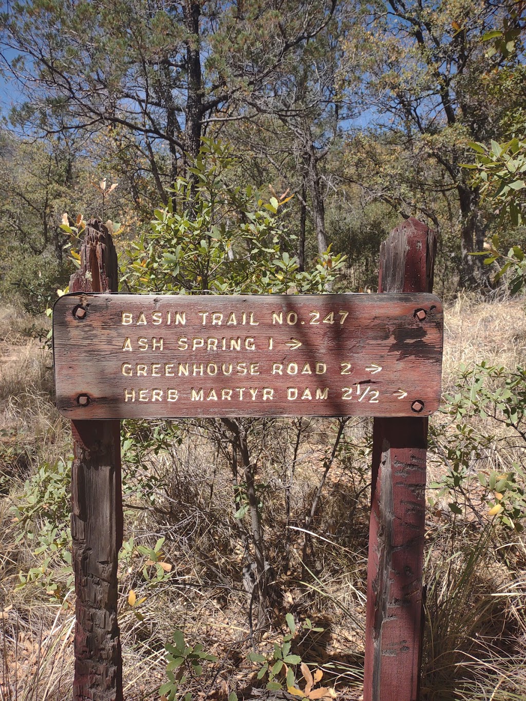 Molino Basin Trailhead | Arizona National Scenic Trail, Tucson, AZ 85749, USA | Phone: (520) 724-9999