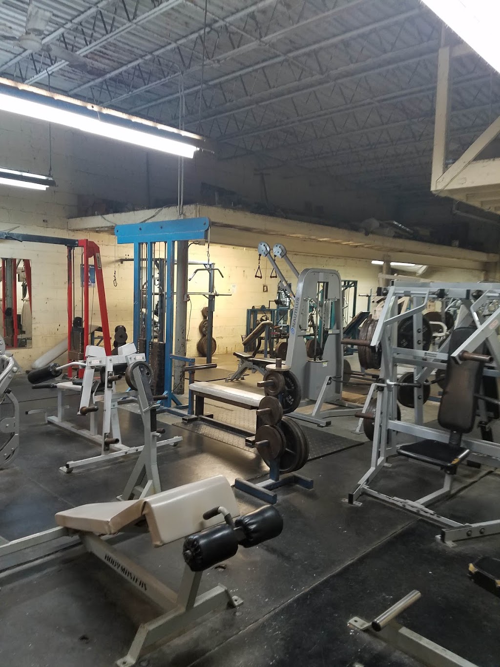 Body Builders | 597 E Tallmadge Ave, Akron, OH 44310, USA | Phone: (330) 253-7616