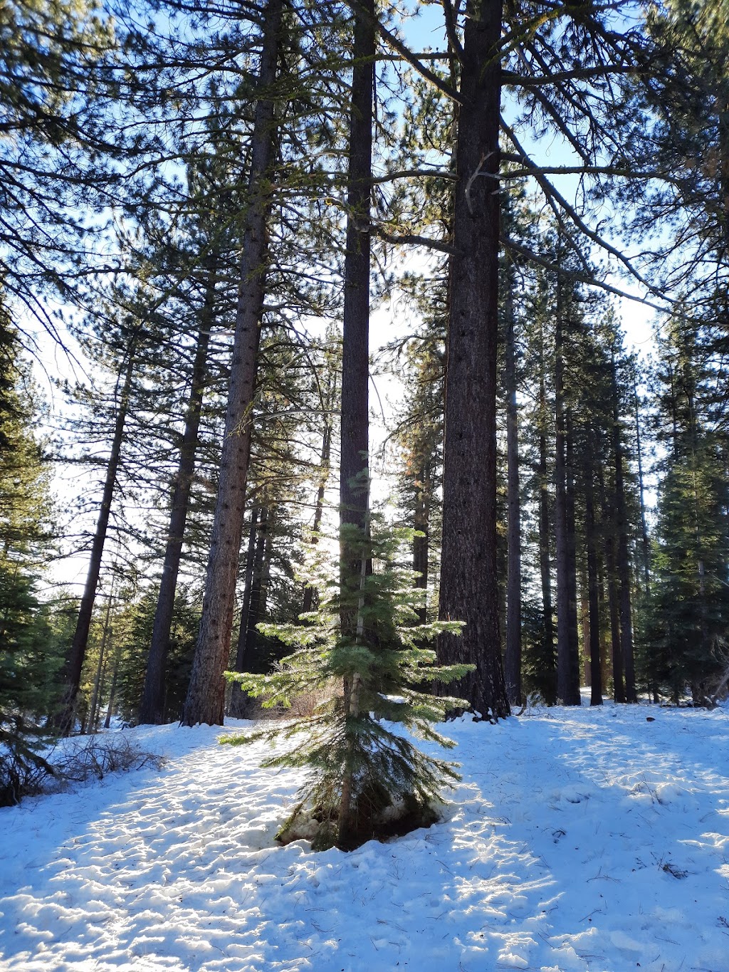 Spooner Lake - Lake Tahoe Nevada State Park | Carson City, NV 89703, USA | Phone: (775) 749-5980