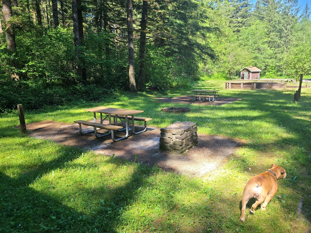 Rock Creek Campground | NE Dole Valley Rd, Yacolt, WA 98675, USA | Phone: (360) 577-2025