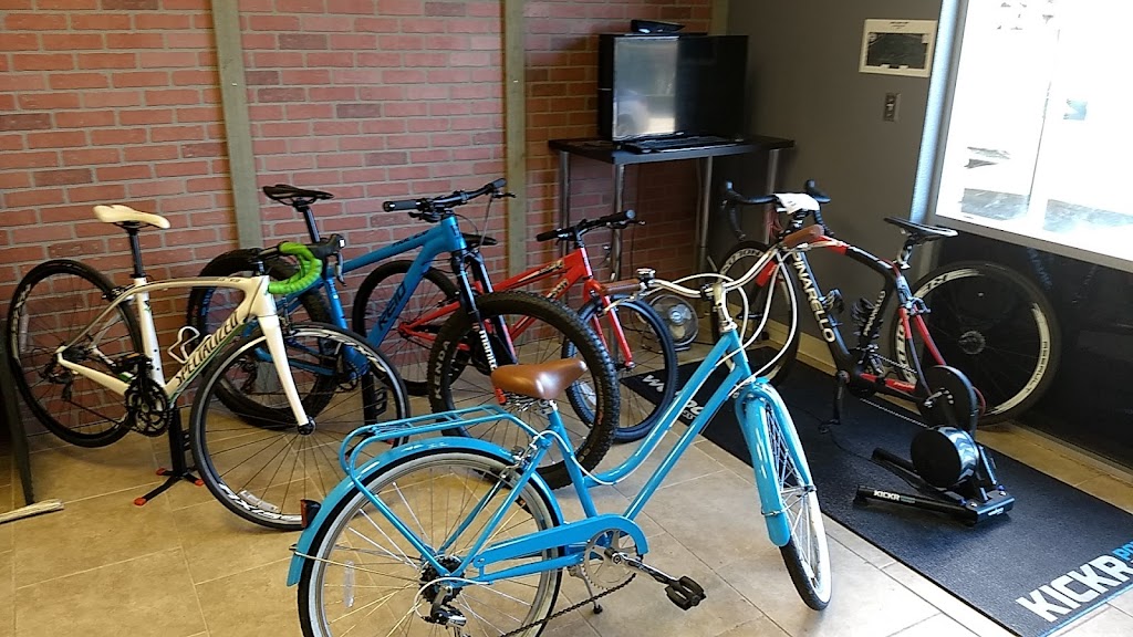 Ray Jays Bike Shop | 2430 N Davis Dr #112, Arlington, TX 76012, USA | Phone: (817) 200-7221