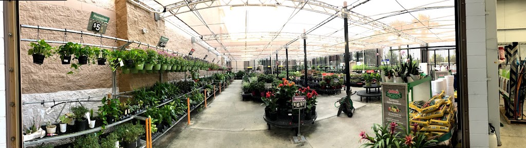 Walmart Garden Center | 1575 Land O Lakes Blvd, Lutz, FL 33549, USA | Phone: (813) 949-4238