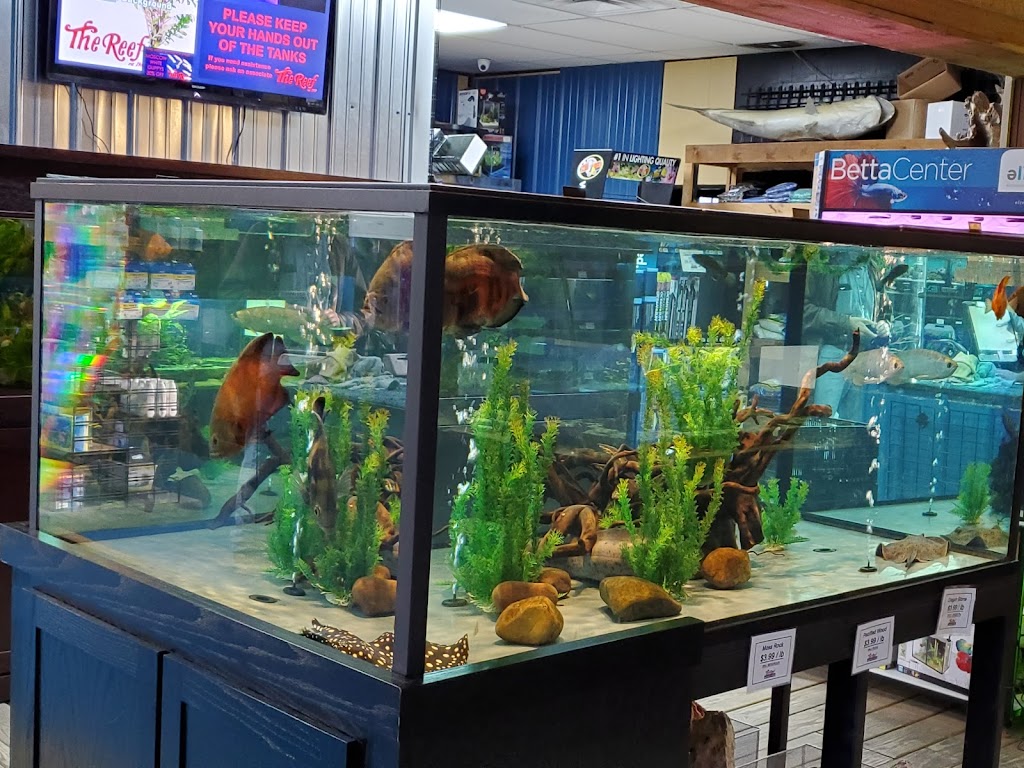 The Reef Aquarium Shop | 5613 N Keystone Ave, Indianapolis, IN 46220 | Phone: (317) 253-9695