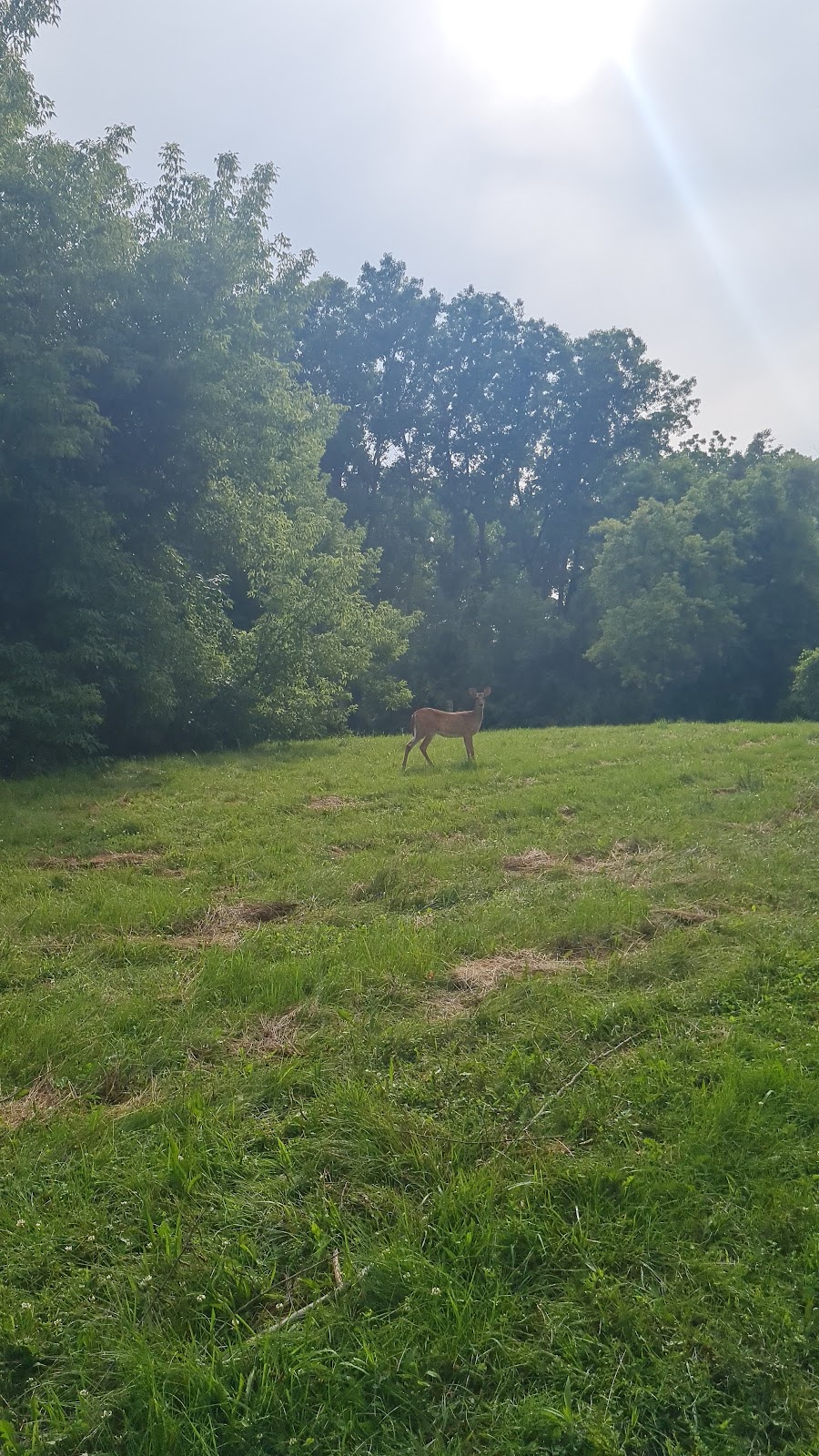 Material Girl Sewing School, Sewing Lessons and Camps | 2010 Paddock Way, Superior Township, MI 48198, USA | Phone: (734) 484-9647