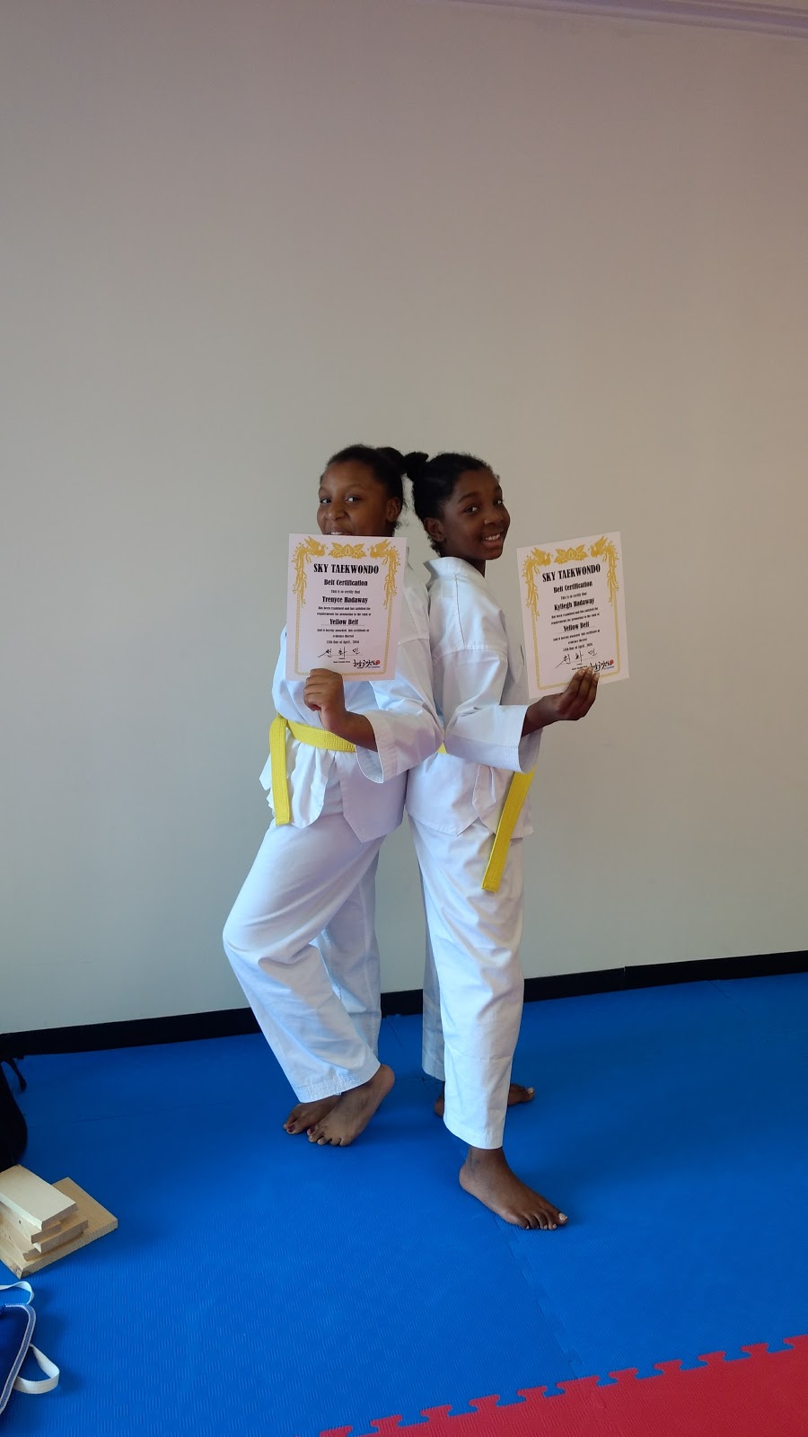 SKY TAEKWONDO | 4676 Princess Anne Rd suite 230 & 240, Virginia Beach, VA 23462, USA | Phone: (757) 233-8417