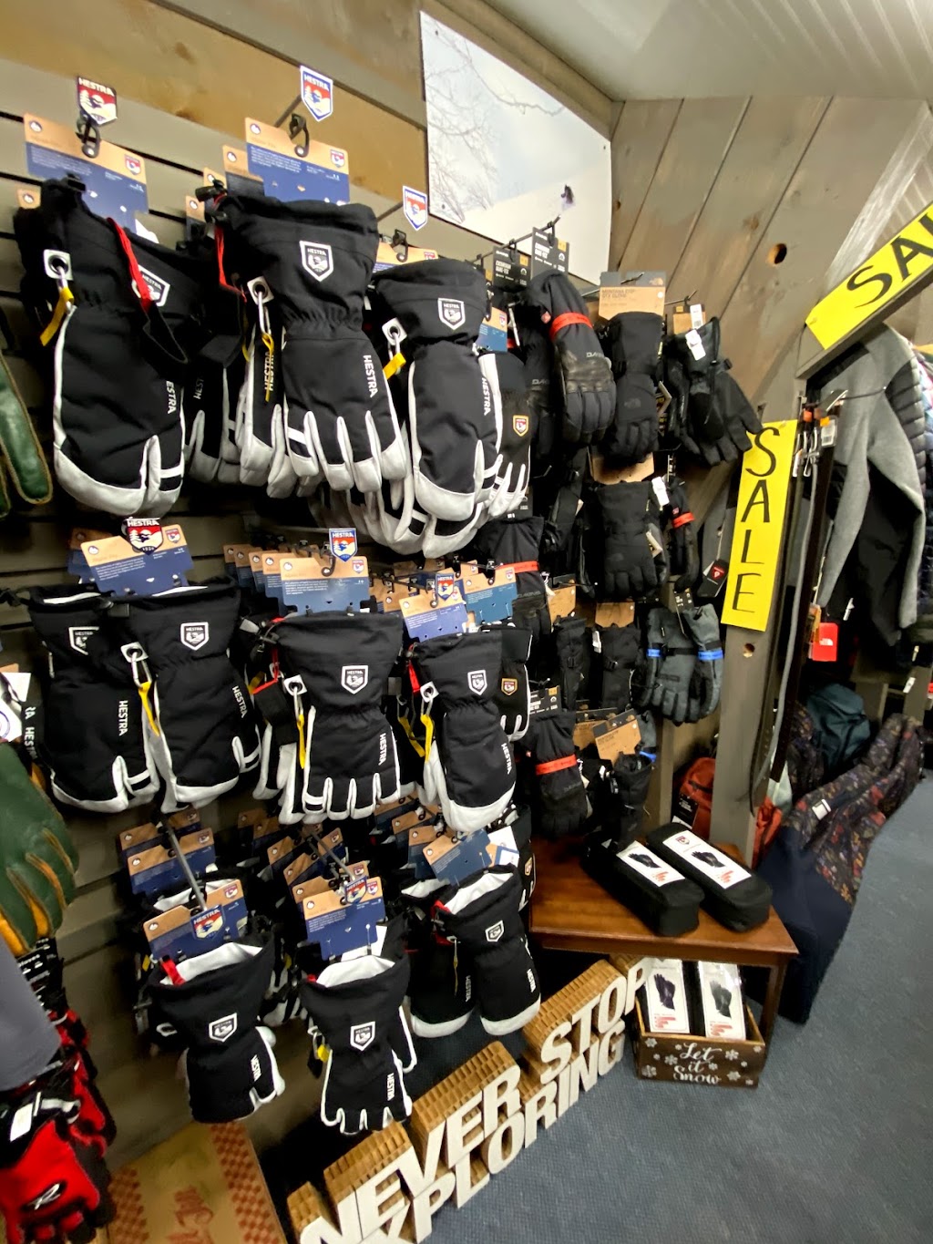 Alpine Sport Shop | 399 Clinton St, Saratoga Springs, NY 12866 | Phone: (518) 584-6290