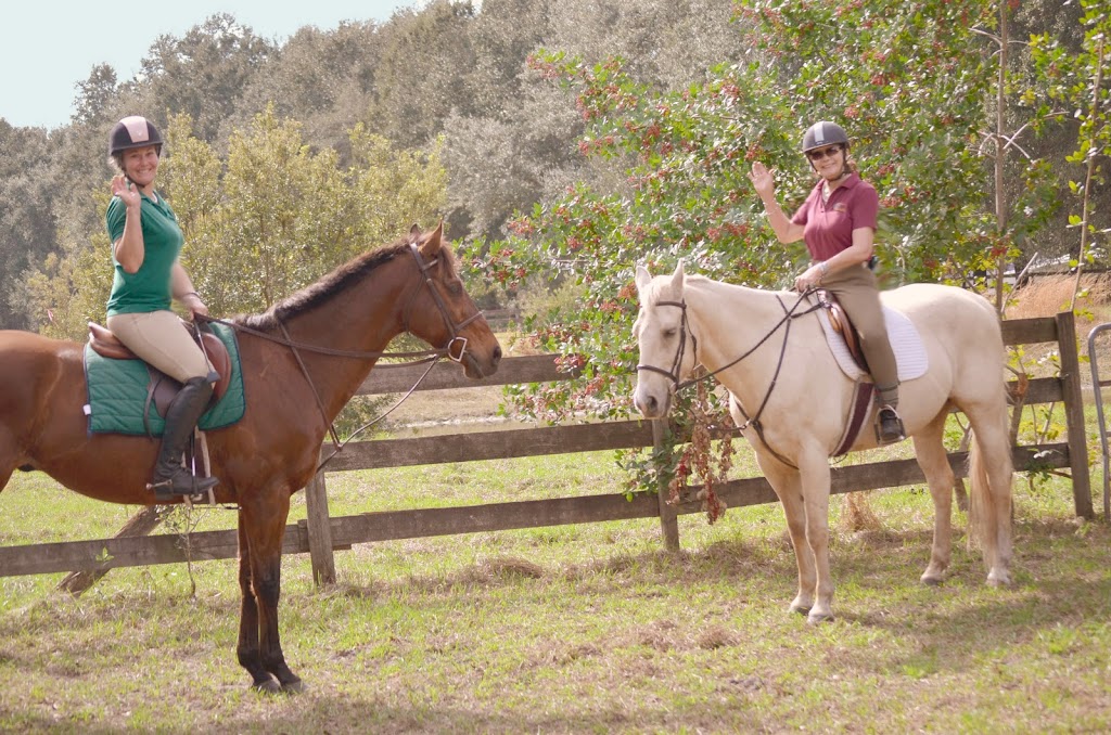 Turning Leaf Farm Hunter Jumper Horses, Spring Hill, FL | Paquette Stables, 12831 US Hwy 41, Spring Hill, FL 34610, USA | Phone: (508) 397-6959