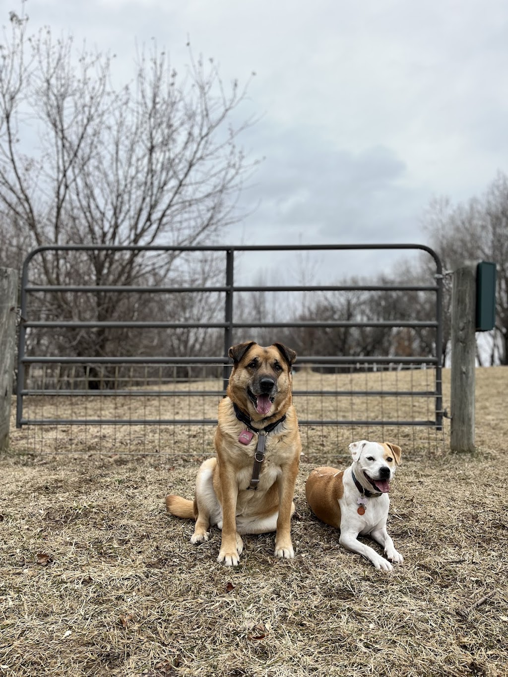 Sun Prairie Dog Park | 1025 S Bird St, Sun Prairie, WI 53590, USA | Phone: (608) 837-2511