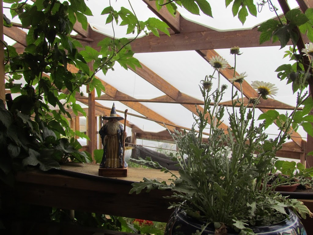 The Thymekeeper | 1870 Co Rd 31, Florissant, CO 80816, USA | Phone: (719) 439-7303