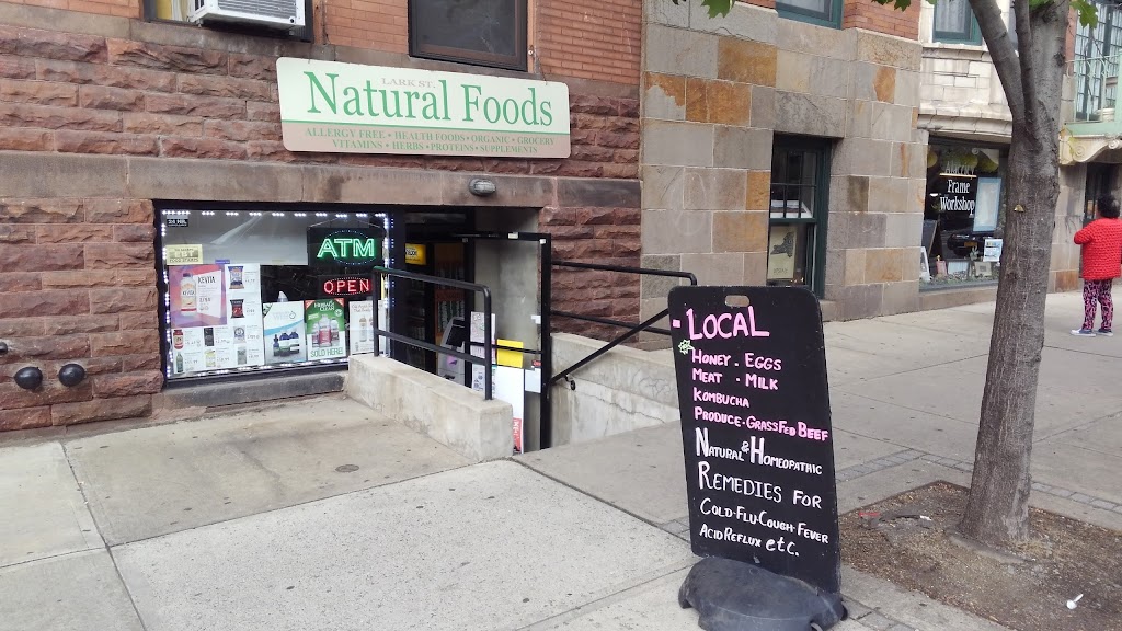 Lark st. Natural Foods | 217 Lark St, Albany, NY 12210, USA | Phone: (518) 285-0786